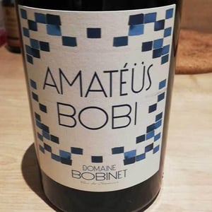 Domaine Calvez-Bobinet - Sébastien Bobinet & Emeline Calvez - Amatéüs Bobi