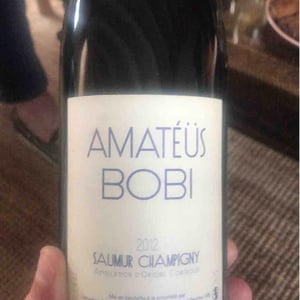 Domaine Calvez-Bobinet - Sébastien Bobinet & Emeline Calvez - Amatéüs Bobi