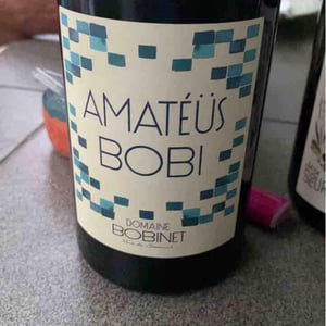 Domaine Calvez-Bobinet - Sébastien Bobinet & Emeline Calvez - Amatéüs Bobi