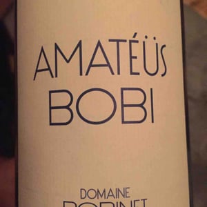 Domaine Calvez-Bobinet - Sébastien Bobinet & Emeline Calvez - Amatéüs Bobi