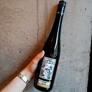 Amberg - Weingut Bernhard Ott - Bernhard Ott -2022