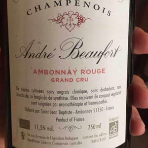 Ambonnay Rouge Grand Cru - Champagne André & Jacques Beaufort - andre-jacques-beaufort