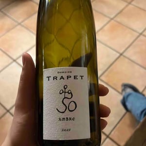 Ambre - Domaine Trapet (Alsace) - andree-trapet -2021
