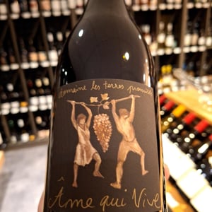 Âme Qui Vive - Les Terres Promises - jean-christophe-comor