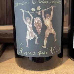 Âme Qui Vive - Les Terres Promises - Jean-Christophe Comor 