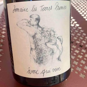 Âme Qui Vive - Les Terres Promises - jean-christophe-comor