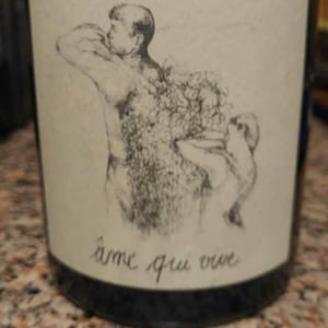 Âme Qui Vive - Les Terres Promises - jean-christophe-comor