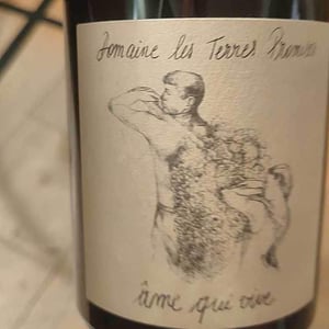 Les Terres Promises - Jean-Christophe Comor - Âme Qui Vive
