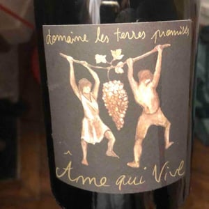 Âme Qui Vive - Les Terres Promises - Jean-Christophe Comor 