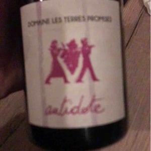 Âme Qui Vive - Les Terres Promises - jean-christophe-comor