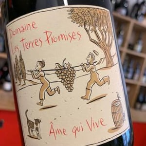 Âme Qui Vive - Les Terres Promises - jean-christophe-comor