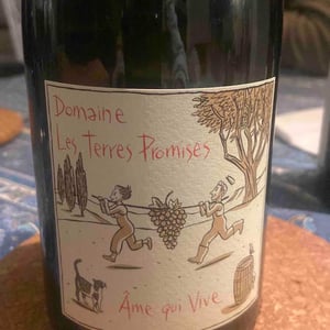 Âme Qui Vive - Les Terres Promises - jean-christophe-comor