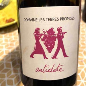 Les Terres Promises - Jean-Christophe Comor - Âme Qui Vive