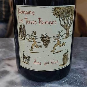 Âme Qui Vive - Les Terres Promises - jean-christophe-comor