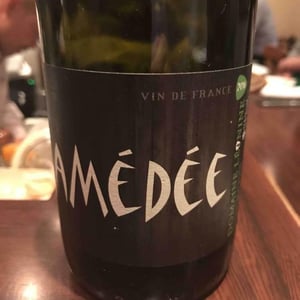 Amédée Rouge - Domaine Léonine - Jordan Le Guyader 