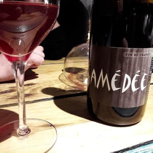 Amédée Rouge - Domaine Léonine - Jordan Le Guyader 