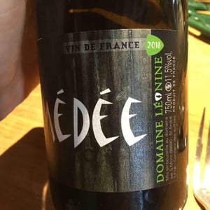 Amédée Rouge - Domaine Léonine - Jordan Le Guyader 