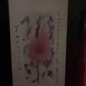 Ameurica - L’absurde Génie Des Fleurs - Miha Trifa & Tom Gautier 