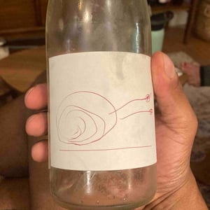 Sumoll Rosat Ámfora - Vinyes Singulars - Ignasi Segui 