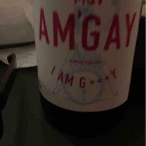 Am’Gay - MQV - mael-quentin