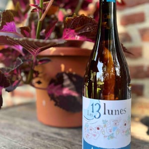 Ami Amis - Domaine Des 13 Lunes - Sylvain Liotard & Florent da Conceição 