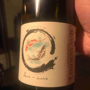 Ami-Amis - Lindenlaub - Christophe Lindenlaub 