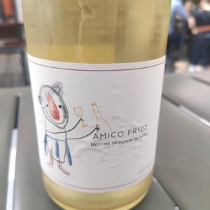 Amico Frizz - Castello di Stefanago - antonio-giacomo-baruffaldi