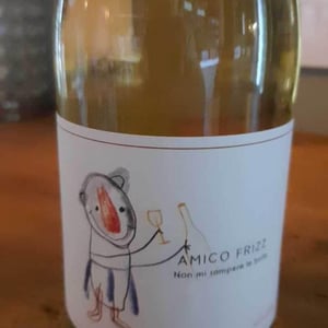 Amico Frizz - Castello di Stefanago - antonio-giacomo-baruffaldi
