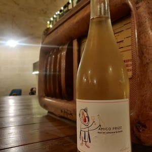 Amico Frizz - Castello di Stefanago - antonio-giacomo-baruffaldi