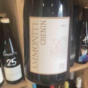 Ammonyte - Château Gaudrelle - Emile Pasquier -2022