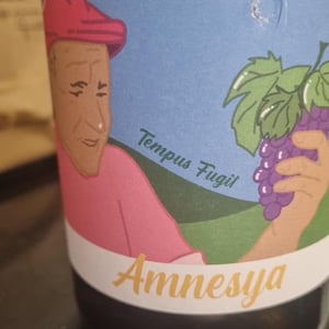 Amnesya - Podere Luisa - Sauro Burzagli e Romina Erbosi 