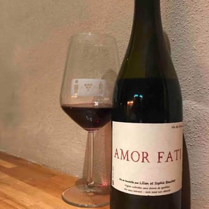 Amor Fati - Lilian & Sophie Bauchet - Lilian & Sophie Bauchet 
