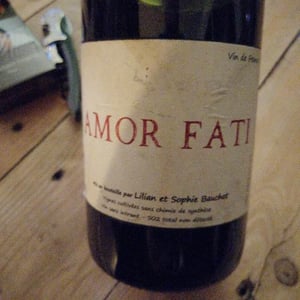Amor Fati - Lilian & Sophie Bauchet - Lilian & Sophie Bauchet 