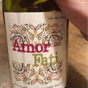 Amor Fati - Lilian & Sophie Bauchet - lilian-sophie-bauchet