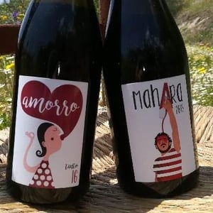 Bodega Vinificate - Mahara Viticultores - Jose & Miguel Gomez - Amorro Tinto