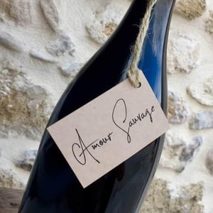 Amour Sauvage - Justine Vigne - justine-vigne -2019