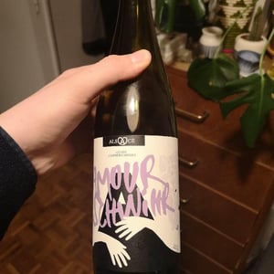 Amour Schwihr - Domaine Christian Binner - Christian Binner et son équipe -2019