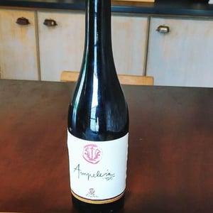 Ampeleia - Marco Tait - Ampeleia
