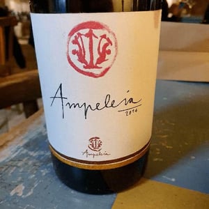 Ampeleia - Marco Tait - Ampeleia