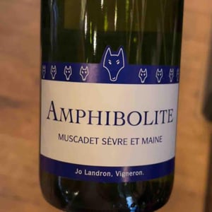 Amphibolite - Domaine Jo Landron - jo-landron