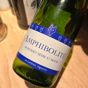 Amphibolite - Domaine Jo Landron - Jo Landron 