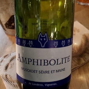 Amphibolite - Domaine Jo Landron - jo-landron