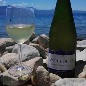 Amphibolite Nature 19