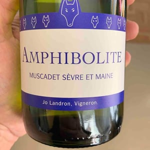 Amphibolite Nature 2018