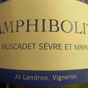 Amphibolite Nature - Domaine Jo Landron - jo-landron