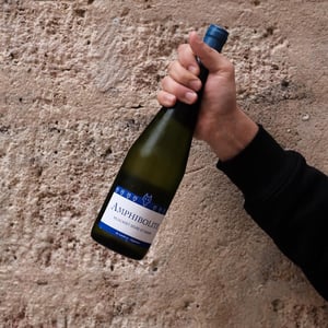 Amphibolite Nature - Domaine Jo Landron - jo-landron
