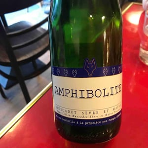 Amphibolite Nature - Domaine Jo Landron - Jo Landron 