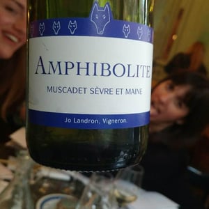 Amphibolite 2017