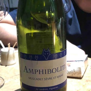 Amphibolite - Domaine Jo Landron - jo-landron