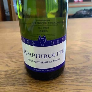Amphibolite - Domaine Jo Landron - jo-landron